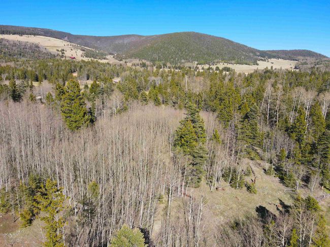 2 Acres Off Quail Ridge, Home with 0 bedrooms, 0 bathrooms and null parking in Angel Fire NM | Image 10