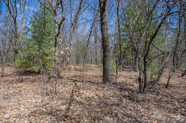 1142 Fawn Ct, Home with 2 bedrooms, 2 bathrooms and null parking in Grand Marsh WI | Image 24