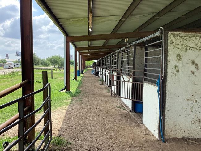stalls | Image 11