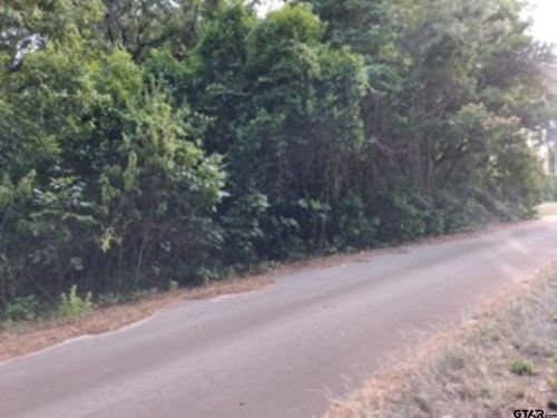 tbd Chaparrall Run, Murchison, TX, 75778 | Card Image