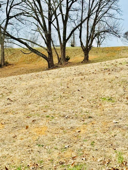 313 Windswept Way, Morristown, TN, 37813 | Card Image