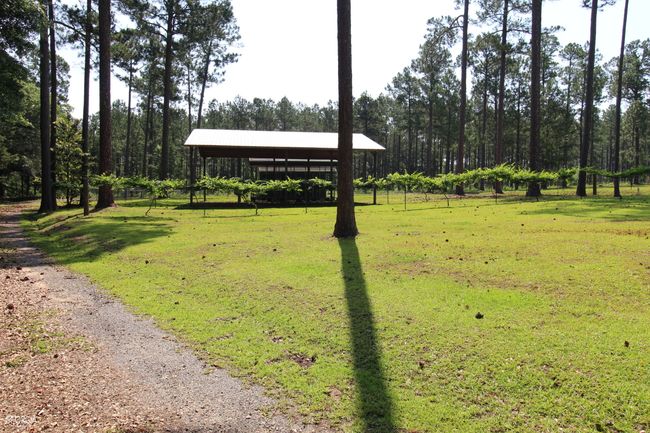507 Js Mcleod Jr Way, House other with 6 bedrooms, 4 bathrooms and null parking in Blakely GA | Image 68
