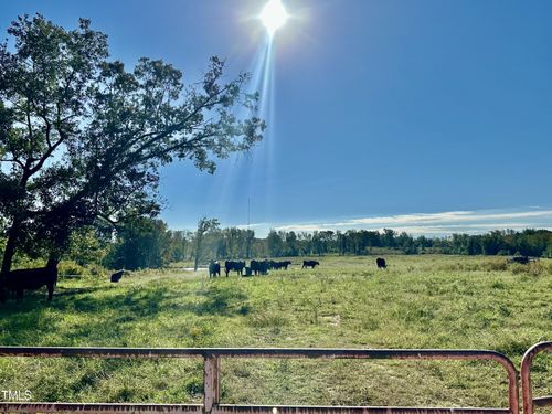 Lot 1 Jones Rd, Hurdle Mills, NC, 27541-9140 | Card Image