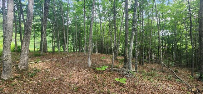 20 Bluff View Loop, Home with 0 bedrooms, 0 bathrooms and null parking in Allardt TN | Image 4