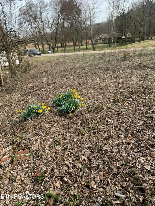 2711 Cunningham Rd, Knoxville, TN, 37918 | Card Image