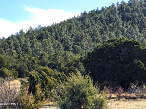 LOT 8 Red Cabin Ranch #8, Vernon, AZ, 85940 | Card Image