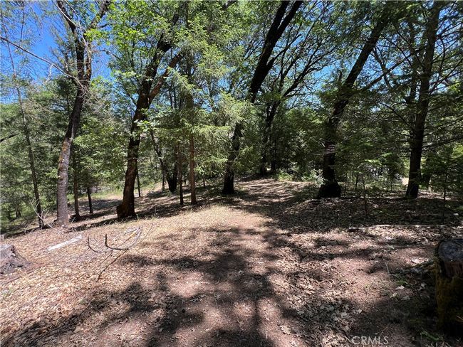 15675 Bottle Rock Rd, Home with 0 bedrooms, 0 bathrooms and null parking in Cobb CA | Image 4