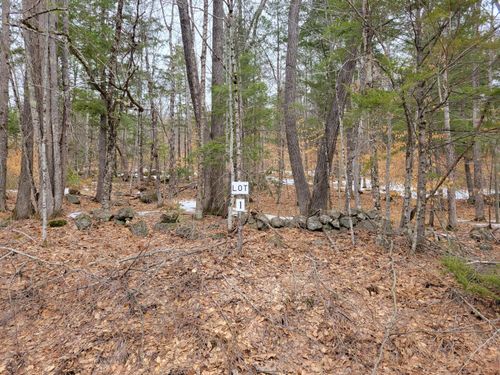 Lot #1 W West Fryeburg Road, Fryeburg, ME, 04037 | Card Image