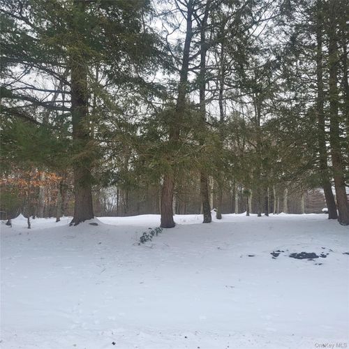 000 Roslyn Ridge Rd, White Lake, NY, 12786 | Card Image