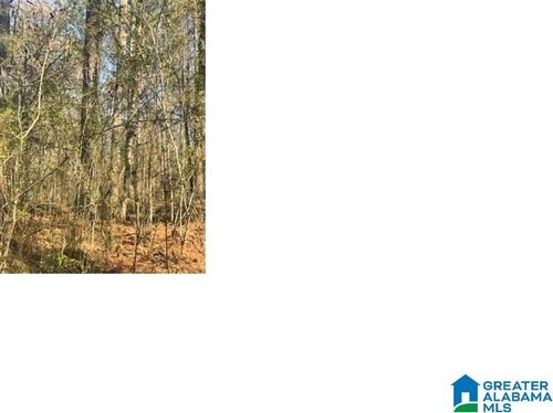 13-31 Nova Cir, ALPINE, AL, 35014 | Card Image