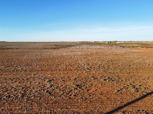 6709 Tiger Rd, Ropesville, TX, 79358-5401 | Card Image