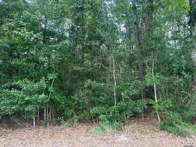 26.85 Acres Heritage Acres Ln, Home with 0 bedrooms, 0 bathrooms and null parking in Robert LA | Image 17