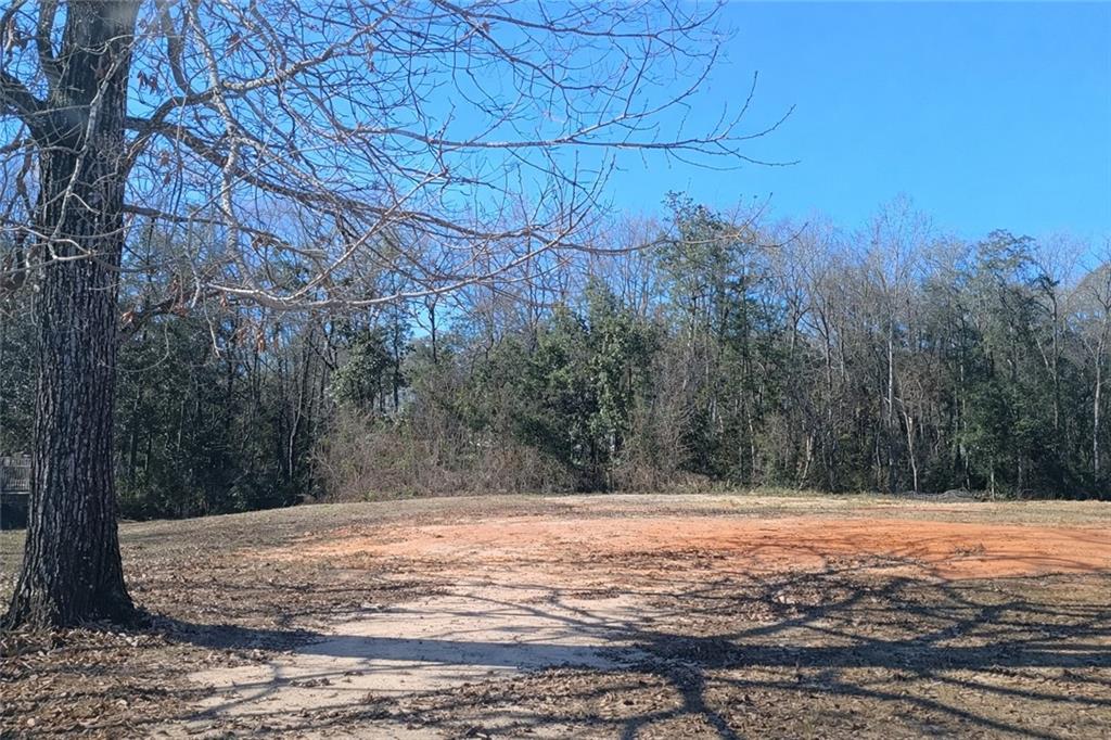 Land in Saraland 3