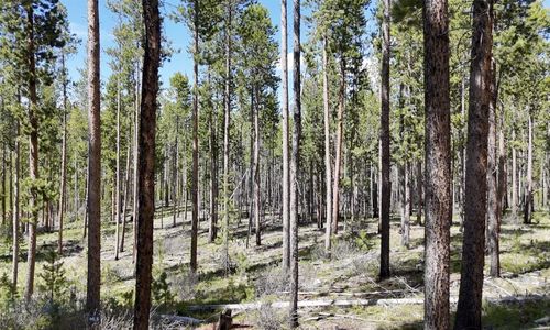 TBD Harris Rd, Anaconda, MT, 59711 | Card Image