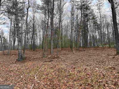 108 - LOT 108 Sautee Trace, Home with 0 bedrooms, 0 bathrooms and null parking in Clarkesville GA | Image 3