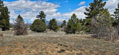 1570 Cool Pines Dr, Pagosa Springs, CO, 81147-7940 | Card Image