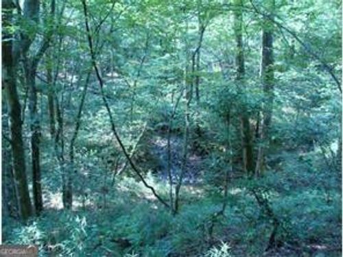 31 Valhalla Dr, Cleveland, GA, 30528-4294 | Card Image