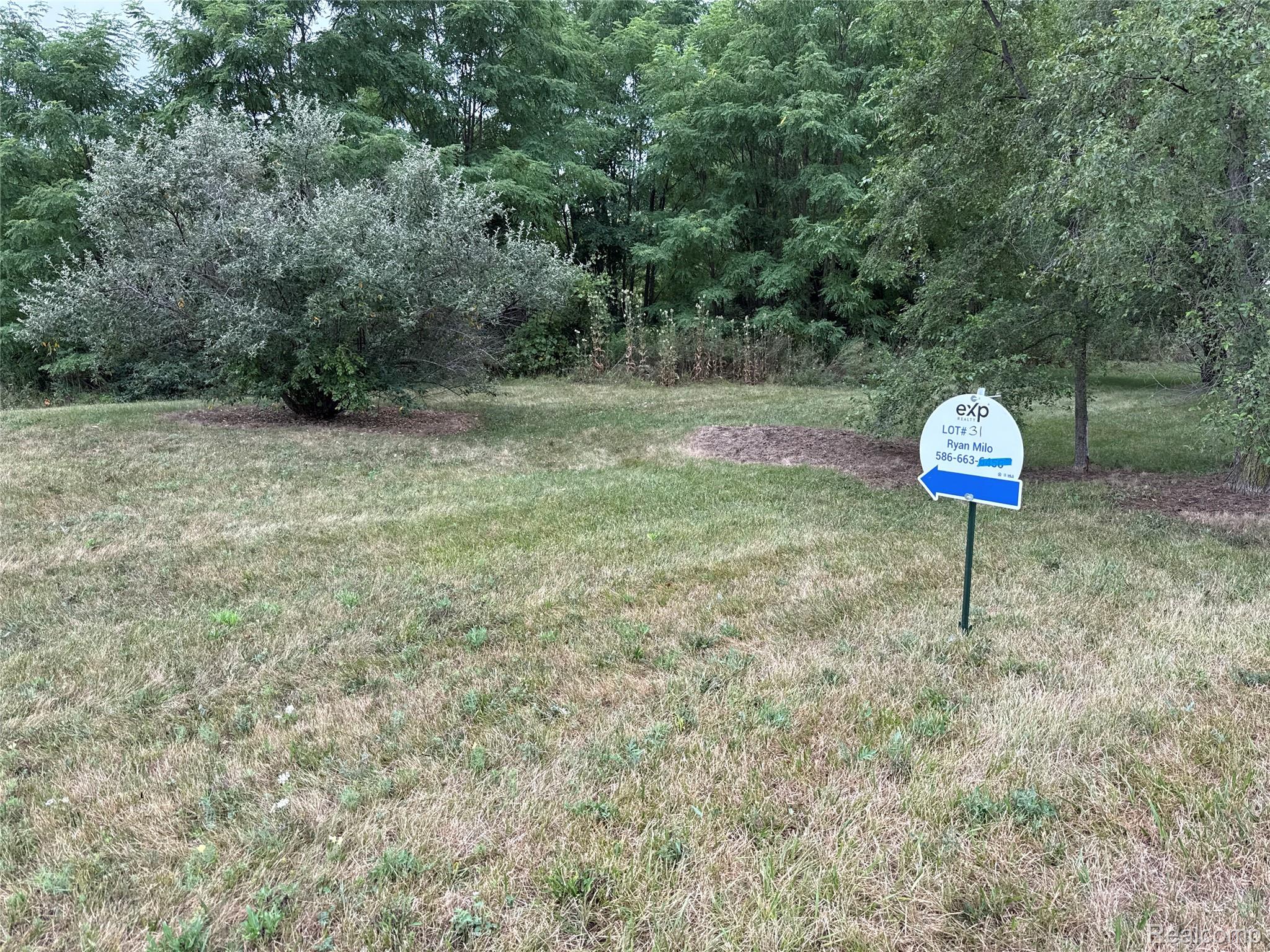 Land in Augusta Charter Township 2