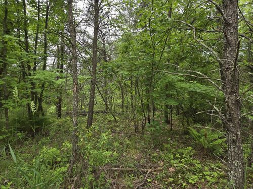 10 Acres 25th Street, Necedah, WI, 54646 | Card Image