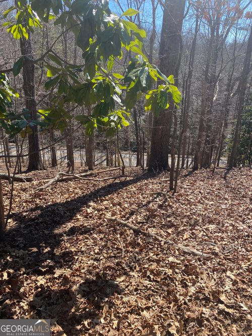 806 Dixon Dr, Gainesville, GA, 30501-2914 | Card Image