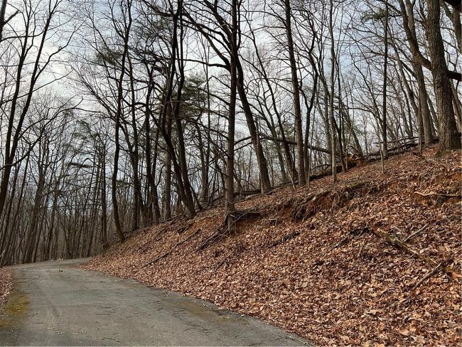 4528 Sassafras Mountain Trl, Home with 0 bedrooms, 0 bathrooms and null parking in Jasper GA | Image 8
