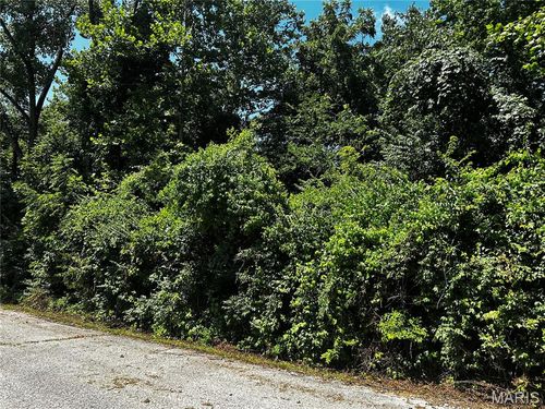 204 Incline Village (Cypress Ct), Unincorporated, MO, 63348 | Card Image