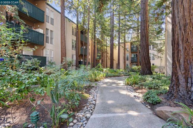 APT-109 - 155 Sharene Ln, Condo with 1 bedrooms, 1 bathrooms and 1 parking in Walnut Creek CA | Image 30
