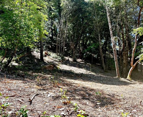 775 &amp; 801 Forest View Dr, Willow Creek, CA, 95573 | Card Image