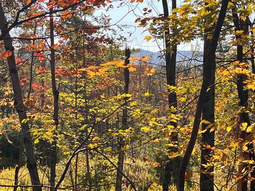 1438 N Branch Rd, Ripton, VT, 05766-8941 | Card Image