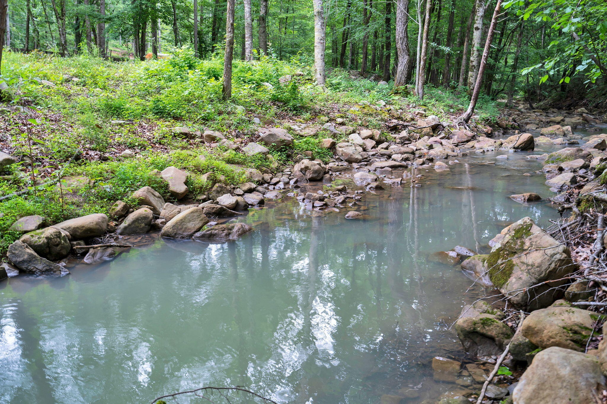 Residential in Pikeville 3