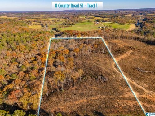 1-0 County Road 51, woodland, AL, 36280 | Card Image