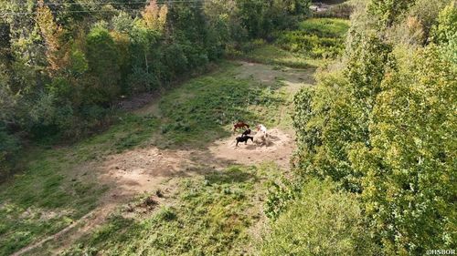 184 Peaceful Place Rd, Caddo Gap, AR, 71935-8514 | Card Image