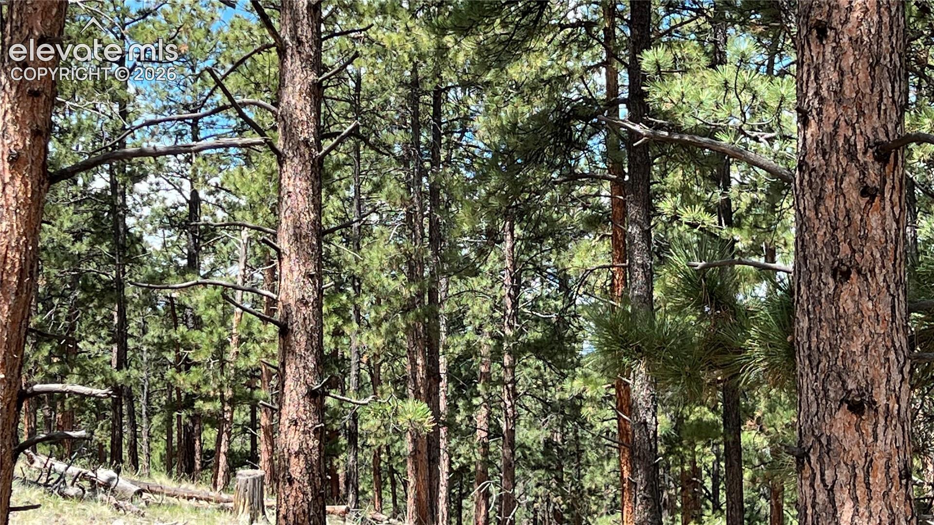 Land in Westcliffe
