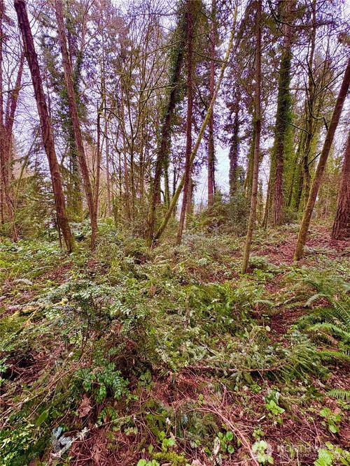 0 Sw 230th Street, Vashon, WA, 98070 | Card Image
