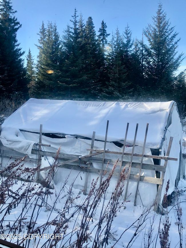 Chickens or greenhouse | Image 25