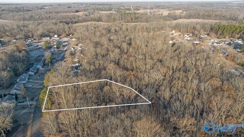 351 Buffalo Creek Dr, Toney, AL, 35773-8925 | Card Image