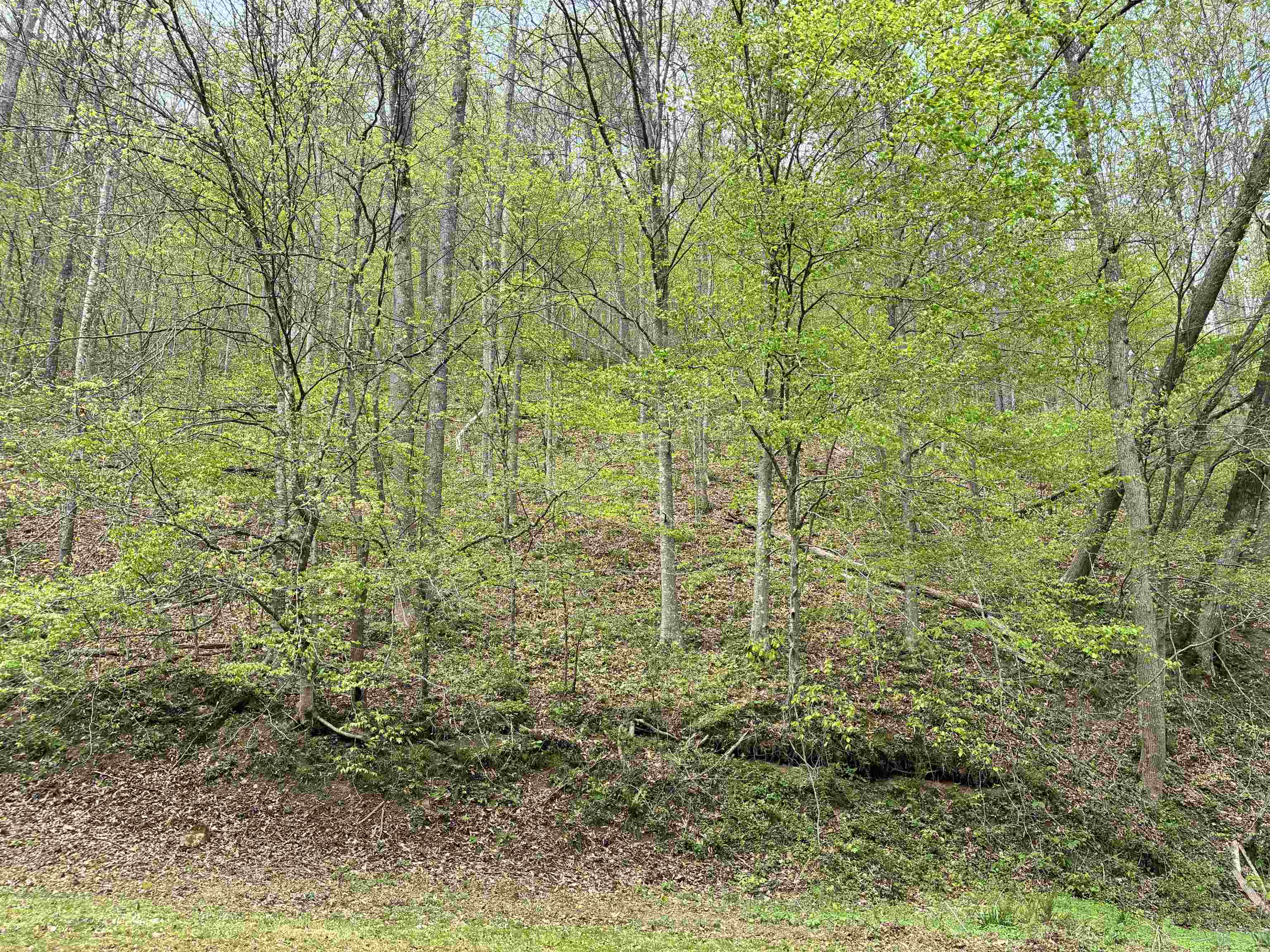 Land in Louisa