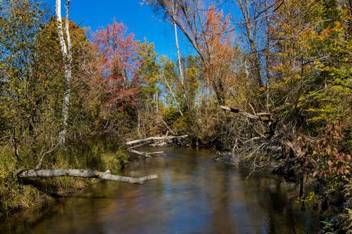 Parcels A Wild River Way, Springdale Township, MI, 49683 | Card Image
