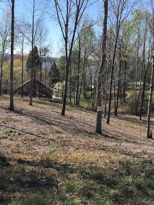 12 Piney View Dr, Spring City, TN, 37381 | Card Image