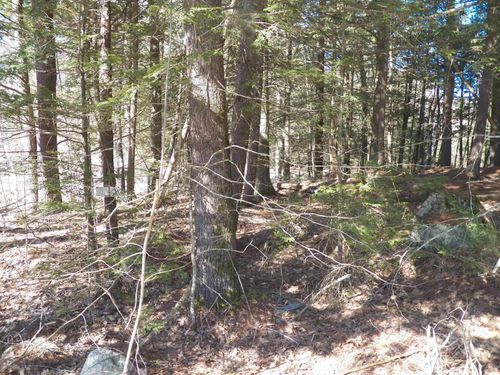 077-14-077 Deerpoint Dr, Hillsborough, NH, 03244-4414 | Card Image