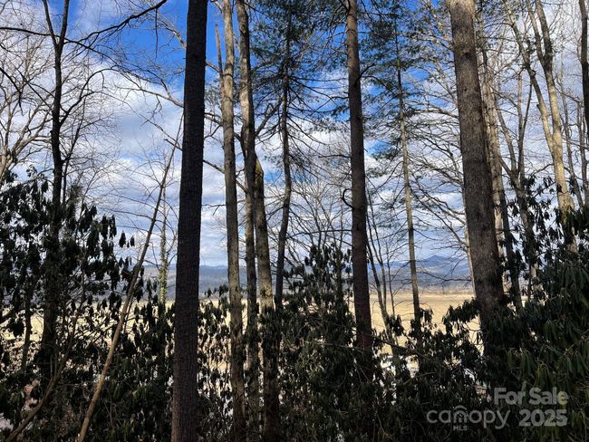 Lot 4-R Middlemount Rd, Home with 0 bedrooms, 0 bathrooms and null parking in Pisgah Forest NC | Image 5