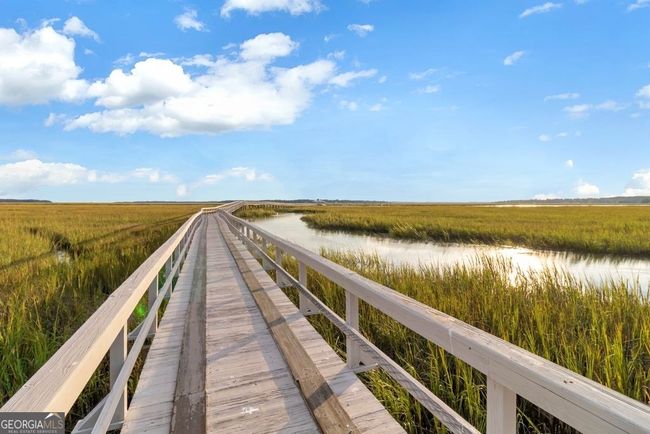 LOT-71 - 0 Coopers Point Dr Ne, Home with 0 bedrooms, 0 bathrooms and null parking in Townsend GA | Image 8