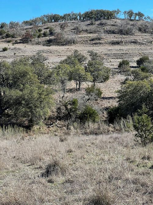 60-2985 Maenius Rd, Blanco, TX, 78606 | Card Image