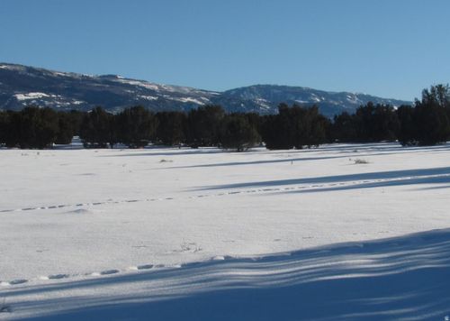 4-13800 N 6245 E, Spring City, UT, 84662 | Card Image