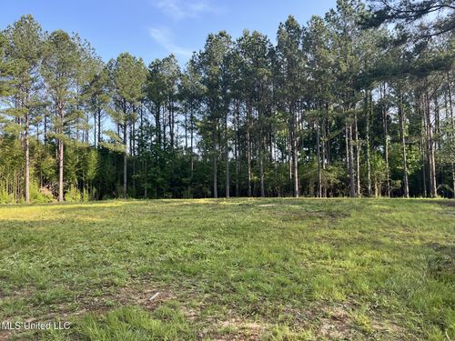 4065 Judge Rd, Gloster, MS, 39638-6205 | Card Image