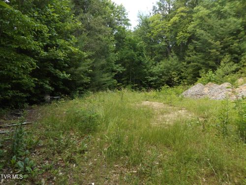 lot-2-701 Heartwood Ln, Butler, TN, 37640-5924 | Card Image