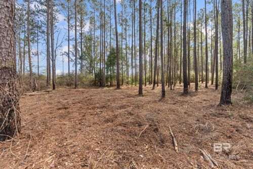 Lot #10 Bermuda Ln, Seminole, AL, 36574 | Card Image