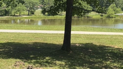 1684 Rimfire Dr, Beechgrove, TN, 37018 | Card Image