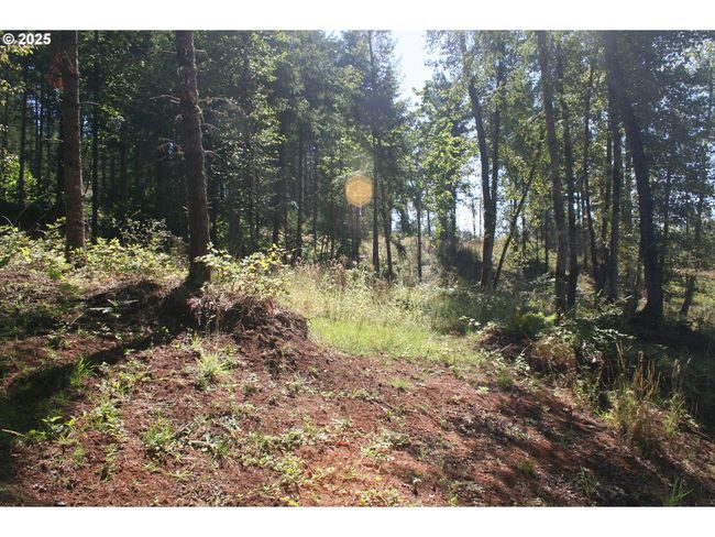 3647 Briar Knob Loop Ne, Home with 0 bedrooms, 0 bathrooms and null parking in Scotts Mills OR | Image 6