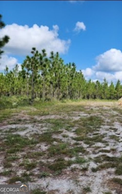 490 Boulevard St, Homeland, GA, 31537-4948 | Card Image